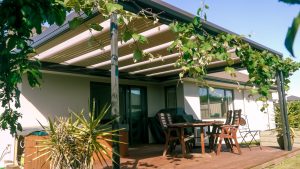 Best Australian Climbing Plants for Pergolas